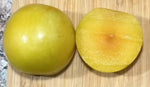 Pluot 'Flavor Queen' - Prunus armeniaca x domestica