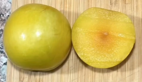 Pluot 'Flavor Queen' - Prunus armeniaca x domestica