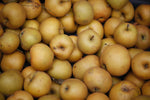 Pommier 'Reinette Wibrin ' - Malus domestica