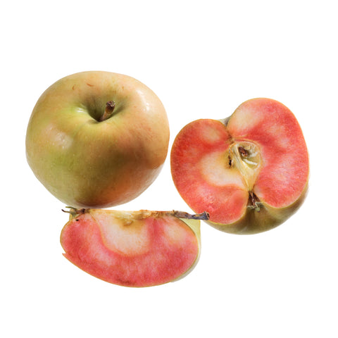 Pommier 'Pink Pearl' - Malus niedzwetskyana
